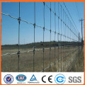 China ouro fabricante fornece ligeiramente ou completamente Grassland Dobradiça Galvanizado Field Fence (preço de fábrica) (certificação ISO)